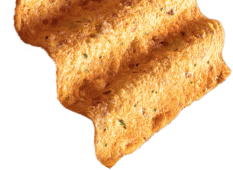 Sunchip chip